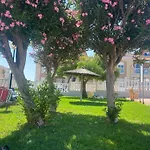 Roof Terrace With Pool, Bikes Included Torrevieja