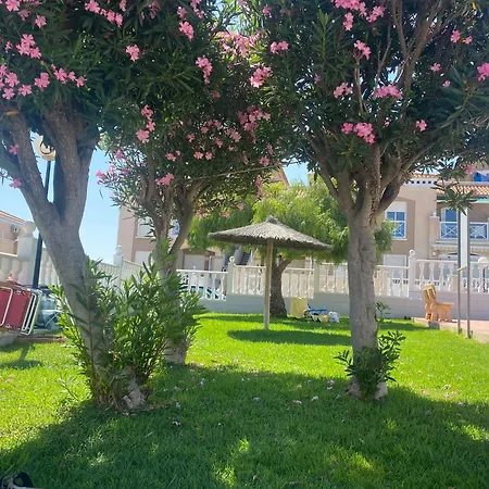 Roof Terrace With Pool, Bikes Included Torrevieja