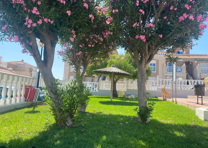 Roof Terrace With Pool, Bikes Included Torrevieja
